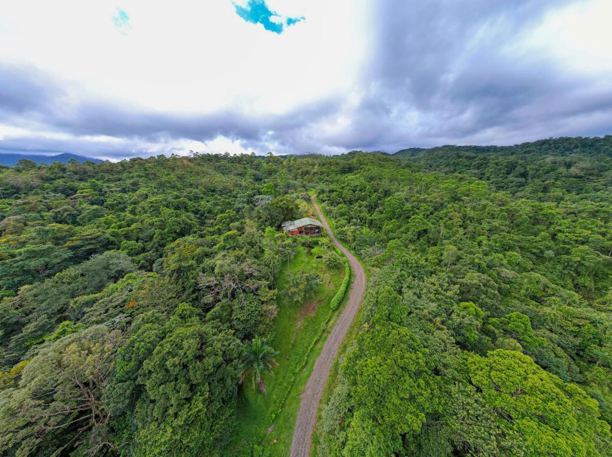 Bed and Breakfast Birds & Breakfast Costa Rica La Tigra  Exterior foto