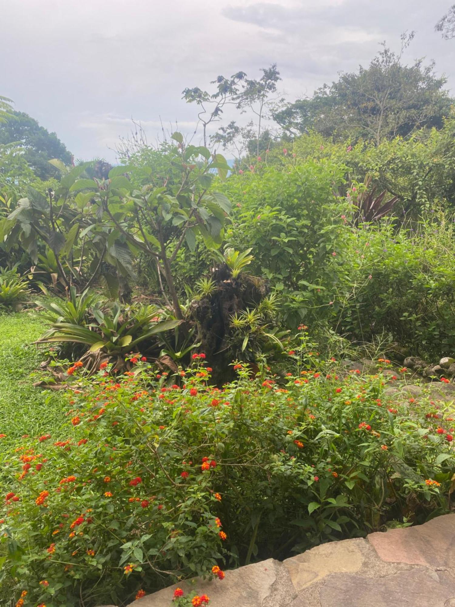 Bed and Breakfast Birds & Breakfast Costa Rica La Tigra  Exterior foto