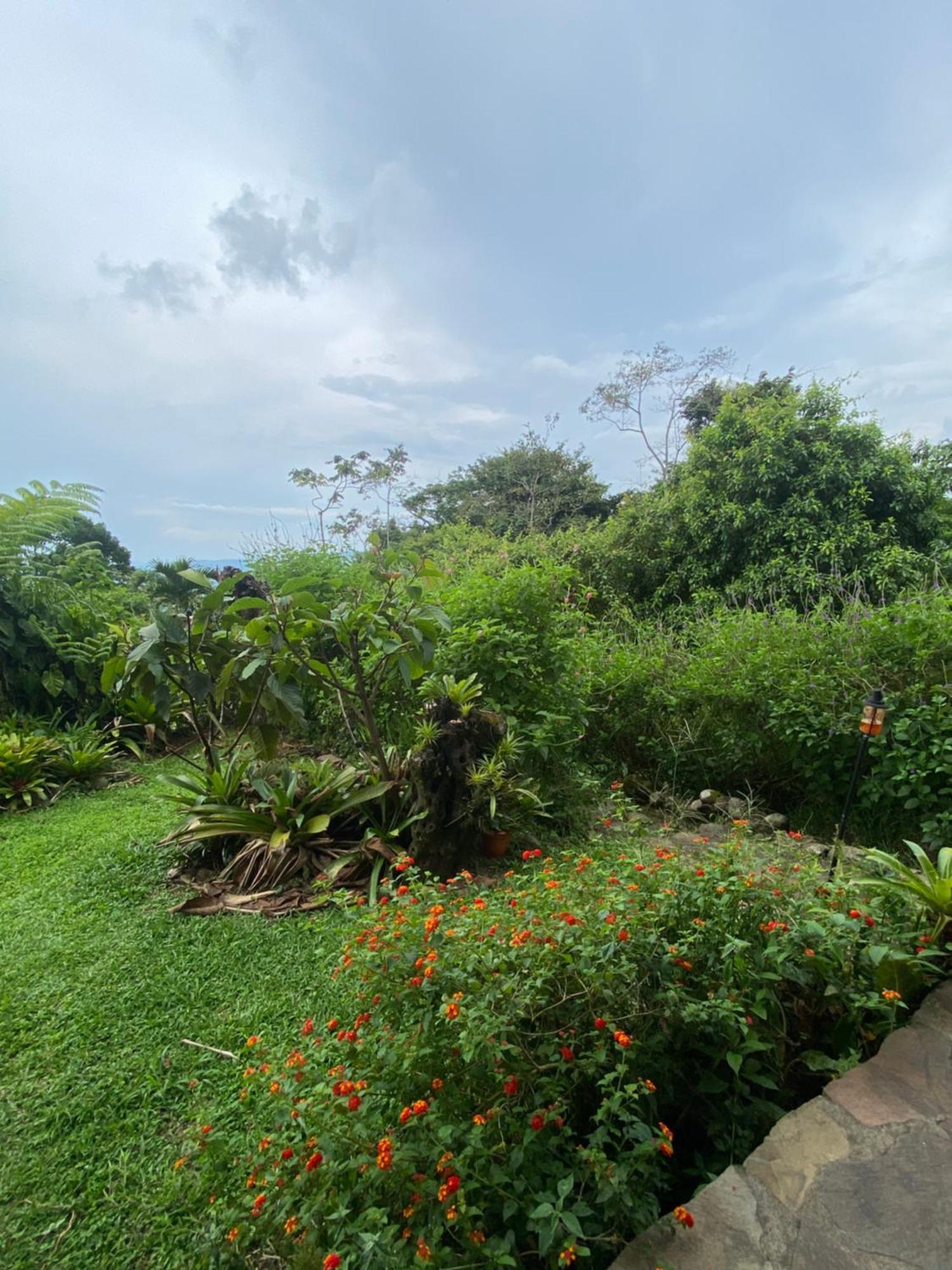Bed and Breakfast Birds & Breakfast Costa Rica La Tigra  Exterior foto
