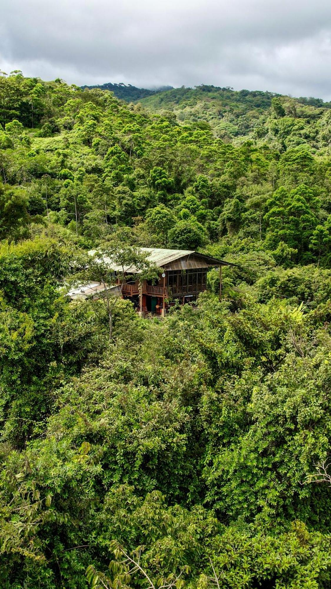 Bed and Breakfast Birds & Breakfast Costa Rica La Tigra  Exterior foto